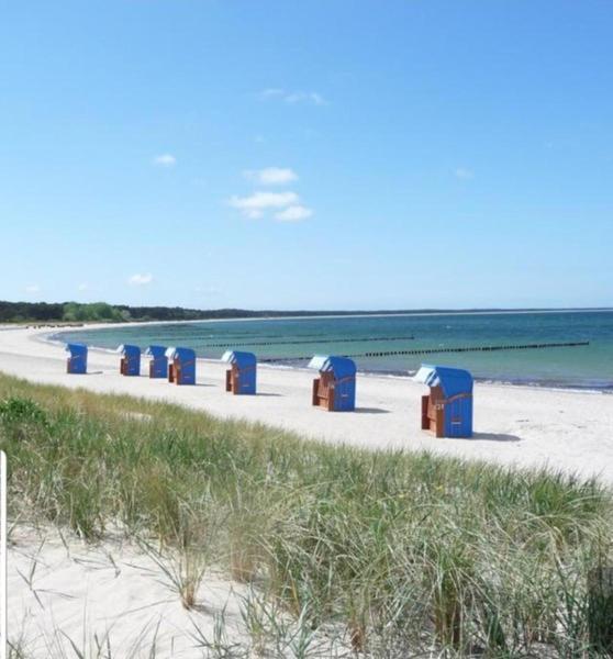Ferienapartment Wiese & Meer Auf Ruegen Neddesitz Esterno foto
