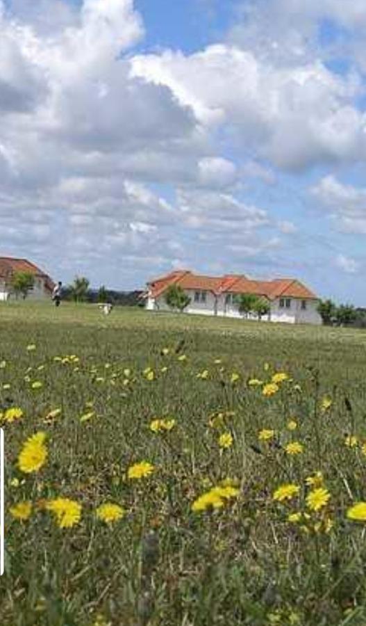 Ferienapartment Wiese & Meer Auf Ruegen Neddesitz Esterno foto