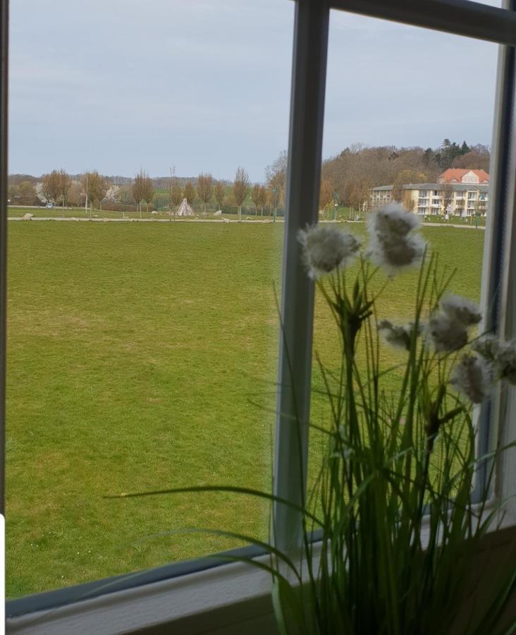 Ferienapartment Wiese & Meer Auf Ruegen Neddesitz Esterno foto